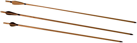 foto ��p IV s p��ov�mi kormidly